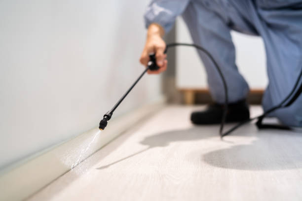 Professional Pest Control in Garretson, SD