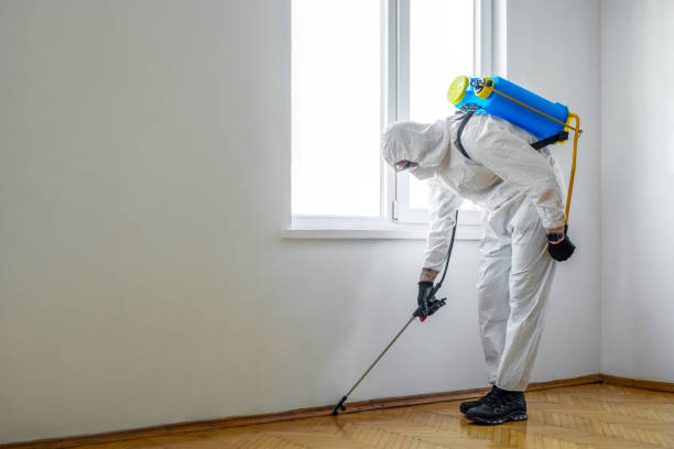 Flea Control Services in Garretson, SD