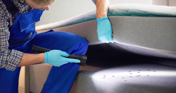 Best Best Pest Control Companies  in Garretson, SD