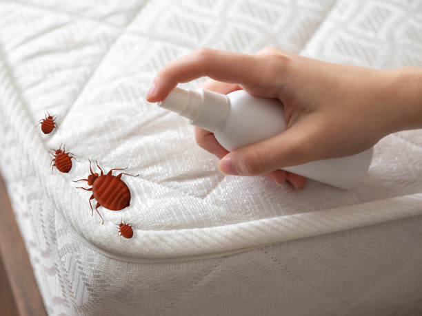 Best Residential Pest Control  in Garretson, SD