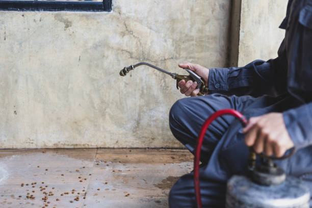Best Ant Control Services  in Garretson, SD