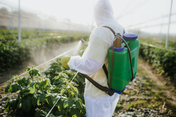 Best Cockroach Control Services  in Garretson, SD